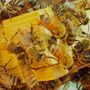Bee Conscious Removal