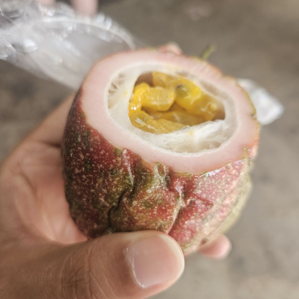 TOP 10 BEST Mercado Market in Miami, FL Updated 2024 Yelp