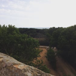Torre Di Maccarese