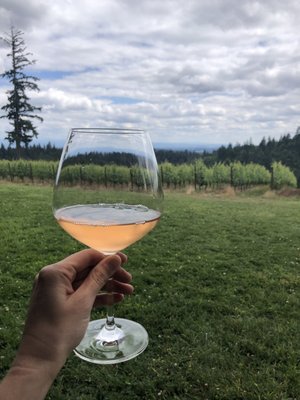 J.K. Carriere - Wine Tastings, Appointment or Walk In by null