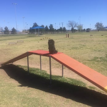 Hogan's Run Off Leash Dog Park - Rigel, my Pomeranian, loves the agility course in the large dog park. Has cat walk, open tunnel, small/large bar jumps, dog pods, and more! - Dog Parks Near Me - Midland, Texas Hogan's Run Off Leash Dog Park - Rigel, my Pomeranian, loves the agility course in the large dog park. Has cat walk, open tunnel, small/large bar jumps, dog pods, and more! - Dog Parks Near Me - Midland, Texas