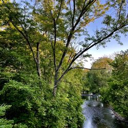 Lehigh Parkway