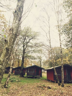 Mosvangen Camping by null