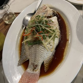 Wheat - Steamed fish with soy sauce - Noodles Near Me - Durham, North Carolina Wheat - Steamed fish with soy sauce - Noodles Near Me - Durham, North Carolina