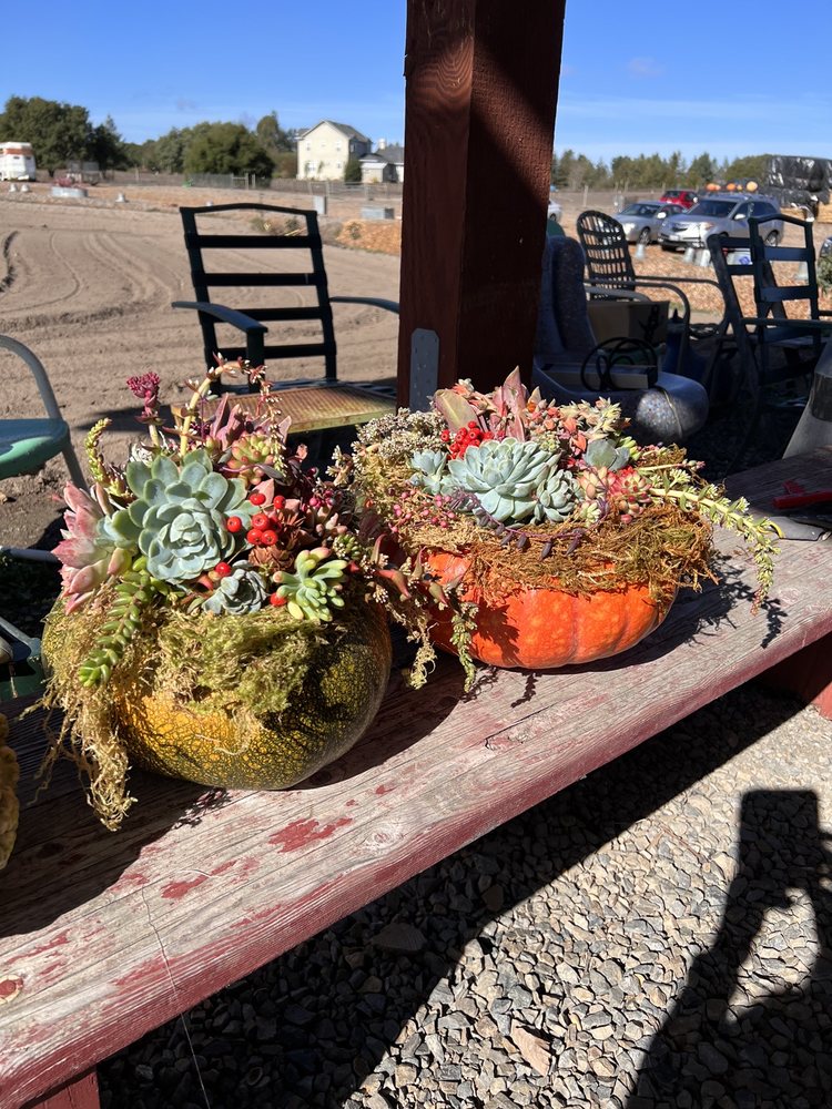 GREEN JEWELS NURSERY Updated June 2024 209 Liberty Rd, Petaluma