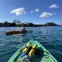Photo of Clear Kayaks Maui