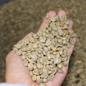 Sunbelt Imports - Green coffee getting ready to go! - Restaurant Supplies Near Me - Houston, Texas Sunbelt Imports - Green coffee getting ready to go! - Restaurant Supplies Near Me - Houston, Texas