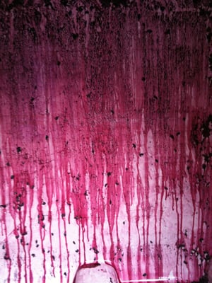 Palouse Winery | Wine Tasting & Wine Club on Vashon Island by null