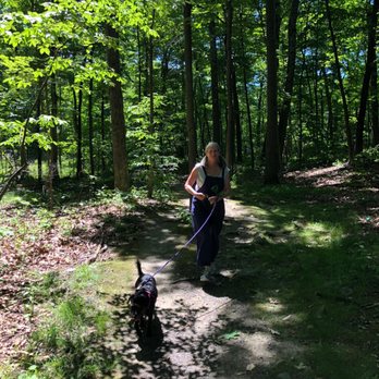 Algonquin Park - A woman with gray hair, wearing dark overalls and a light-colored shirt, walks her dog along a dirt path in a forest. The dog is on a leash and appears to be a medium-sized, dark-colored breed. The forest is lush with tall trees, green foliage, and patches of sunlight creating shadows on the trail. The scene depicts a peaceful outdoor walk in a wooded area. - Parks Near Me - Newburgh, New York
