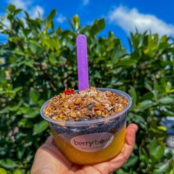 Berry Bowl - Mango Bowl