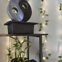 Reaves Holistic Healing