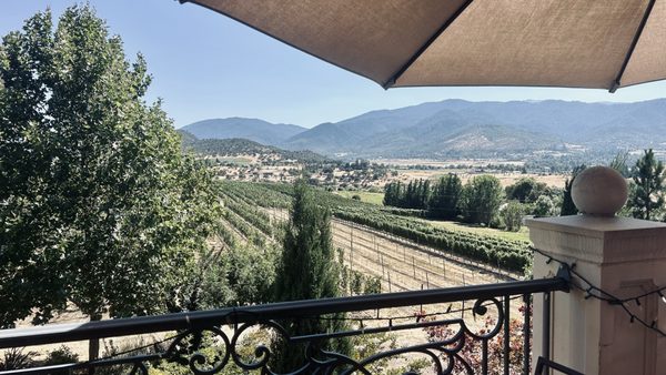 Belle Fiore Winery by null