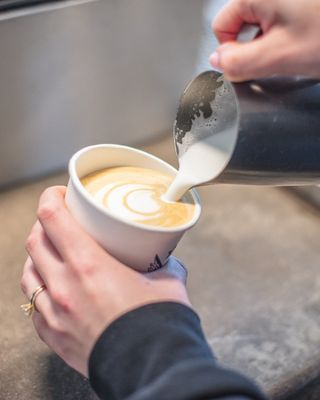 Parlor Doughnuts by null