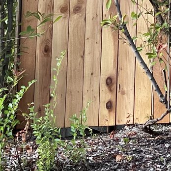 LifeScaping Fences - large gao - Fences & Gates Near Me - Sacramento, California