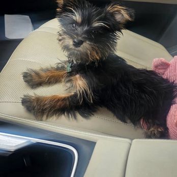 Tully's Kennels - Pet Stores Near Me - Omaha, Nebraska