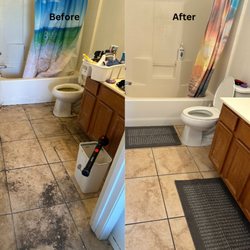Nice 'N Tidy