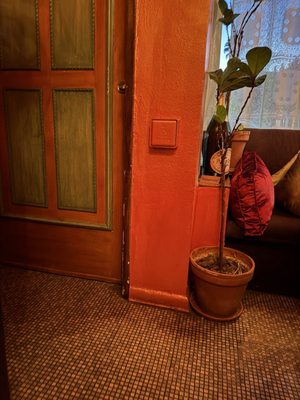 Tagine Beverly Hills by null