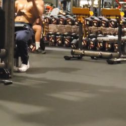 Gold's Gym - Bingle
