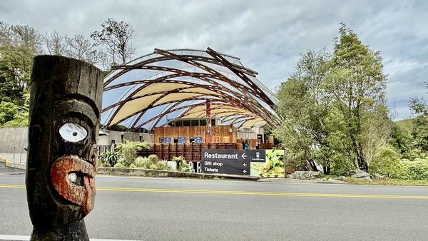 Waitomo Glowworm Caves by null