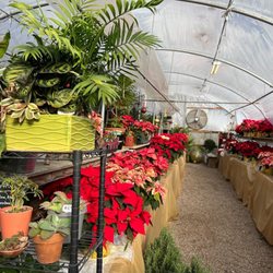 Waldo Greenhouse aka Angelo's Nursery