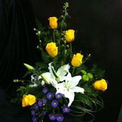 La Pegasus Florist & Gifts - Casablanca lilies, yellow roses, and purple Monte Casino asters