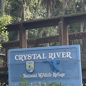 Crystal River Kayak Company - Rafting/Kayaking Near Me - Crystal River, Florida