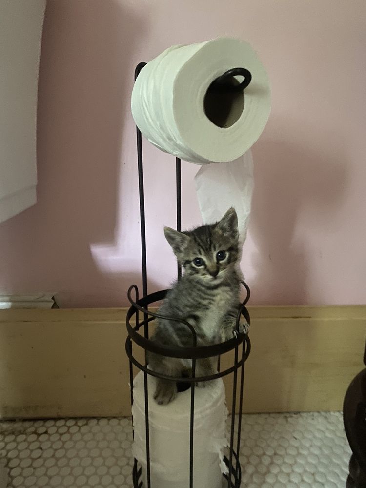 Slide of Newline pipe solutions