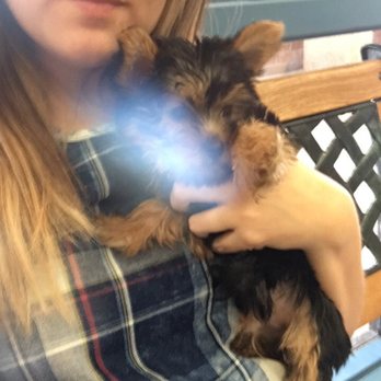 Acoma Animal Clinic - Veterinarians Near Me - Tucson, Arizona