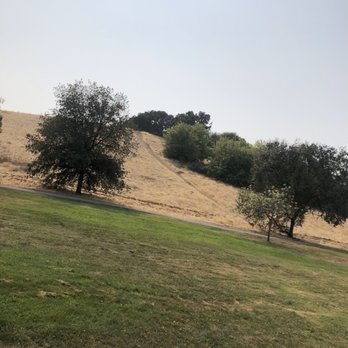 Newhall Community Park - View - Dog Parks Near Me - Concord, California