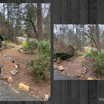 Aaron Handyman - Before and after pruning - Handyman Near Me
