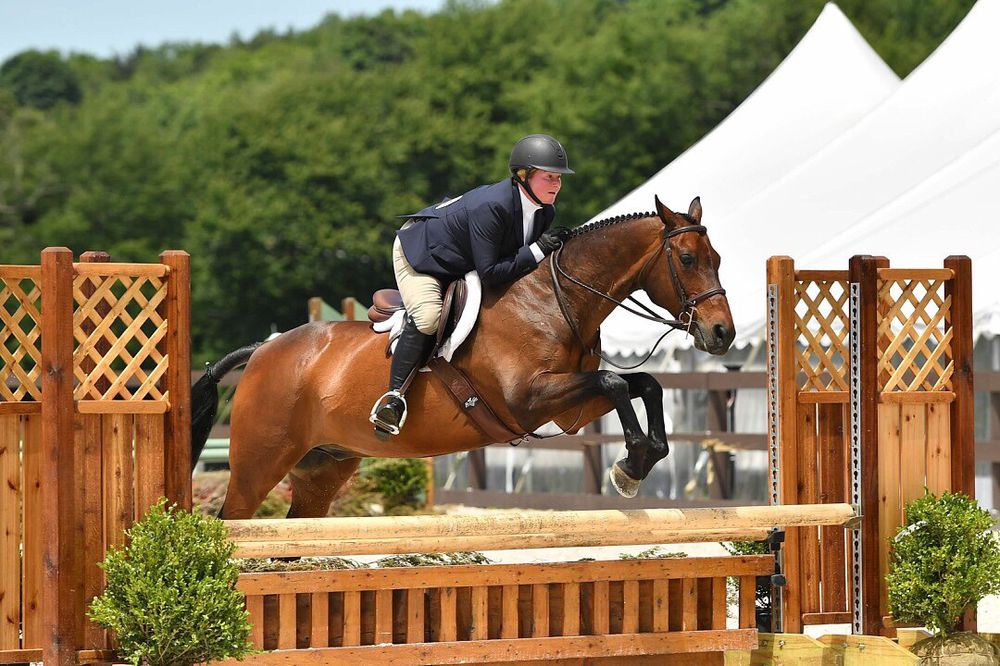 STARBUCK EQUESTRIAN Updated August 2024 19 Photos 20 Mopus Bridge