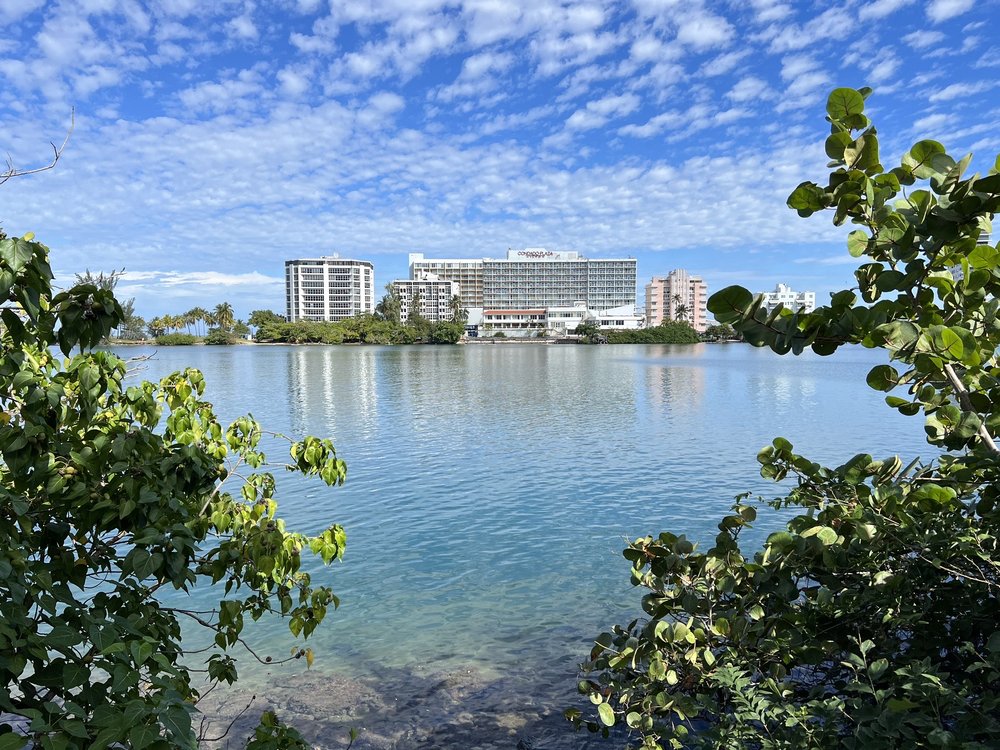 Laguna del Condado Jaime Benitez Park Image