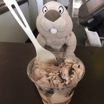 Sweet Cow - D's Mint Cookies and Cream & OZO Coffee - YUM! - Ice Cream & Frozen Yogurt Near Me - Denver, Colorado