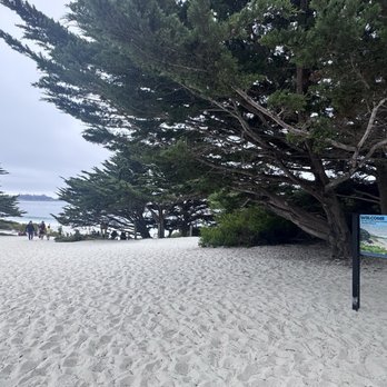 Carmel Beach - Described as "expensive sand" haha so fine & soft - Beaches Near Me - Carmel-by-the-Sea, California