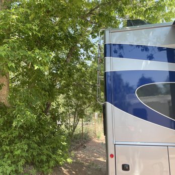 Pikes Peak RV Park - The tree that we backed up to trying to get to more level ground. - RV Parks Near Me - Manitou Springs, Colorado Pikes Peak RV Park - The tree that we backed up to trying to get to more level ground. - RV Parks Near Me - Manitou Springs, Colorado