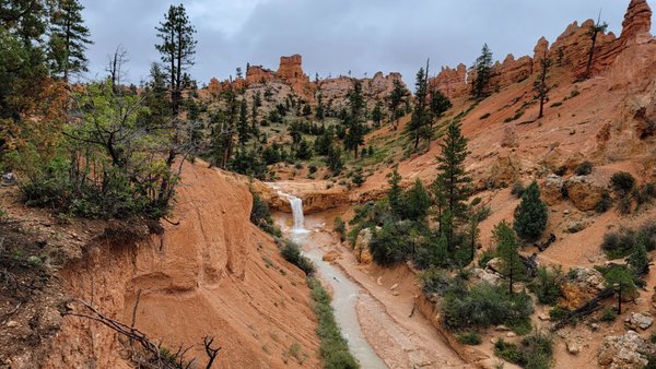 Mossy Cave Trailhead by null