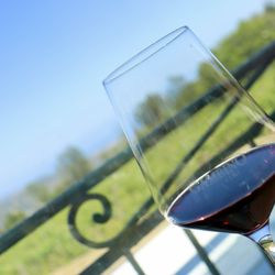 Gambino Vini - Red Wine