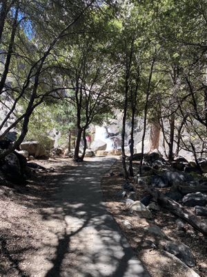 Roaring River Falls by null