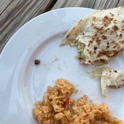 Sr Sol - Roach found in my food