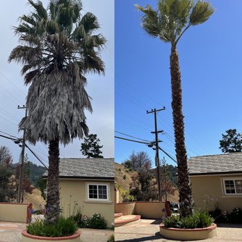 One Two Tree Care - Tree Services Near Me - Tracy, California