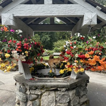 Point Defiance Rose Garden - Please pose, lol. - Botanical Gardens Near Me - Tacoma, Washington