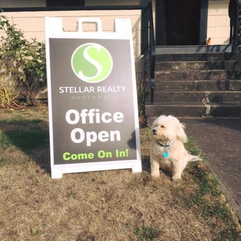 Stellar Realty Northwest - Bamsi the office dog. - Real Estate Agents Near Me - Portland, Oregon Stellar Realty Northwest - Bamsi the office dog. - Real Estate Agents Near Me - Portland, Oregon