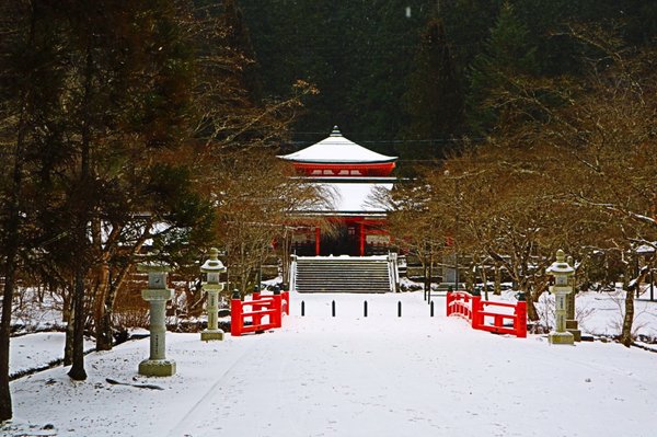 Okunoin Cemetery by null