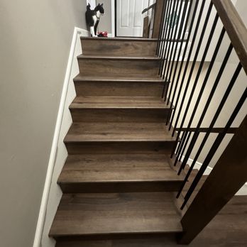 Cal Coast Flooring - Cat and Staircase - Flooring Near Me - Lomita, California Cal Coast Flooring - Cat and Staircase - Flooring Near Me - Lomita, California