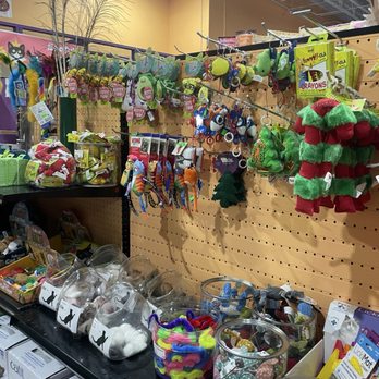 Boofy's Best for Pets - Cat toys - Pet Stores Near Me - Albuquerque, New Mexico Boofy's Best for Pets - Cat toys - Pet Stores Near Me - Albuquerque, New Mexico