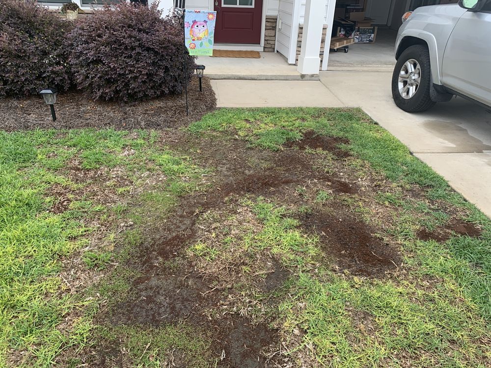 BOWMAN’S BEST LAWN CARE Updated September 2024 341 S College Rd, Wilmington, North Carolina