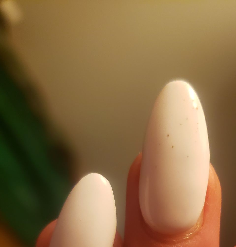 TOP CARE NAILS 15 Photos & 20 Reviews 1229 Union St, Bangor, Maine