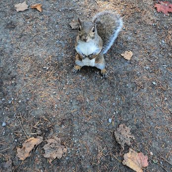 Central Park - Parks Near Me - Burnaby, British Columbia Central Park - Parks Near Me - Burnaby, British Columbia