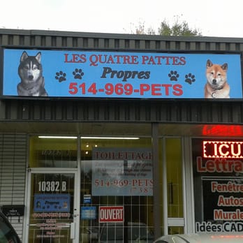 Les Quatre Pattes Propres - Les Quatre Pattes Propres
10382b boulevard Gouin ouest,
Roxboro-Pierrefonds,
QC, H8Y 1S3.
Tel -514-969-7387 - Pet Groomers Near Me - Roxboro, Quebec Les Quatre Pattes Propres - Les Quatre Pattes Propres
10382b boulevard Gouin ouest,
Roxboro-Pierrefonds,
QC, H8Y 1S3.
Tel -514-969-7387 - Pet Groomers Near Me - Roxboro, Quebec