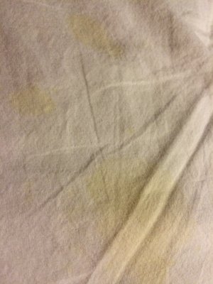 Humboldt Redwoods Inn by null